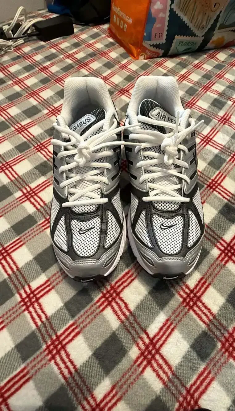NIKE MENS Air Pegasus 2K5 